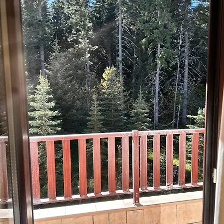 Private In Flora Daire Borovets