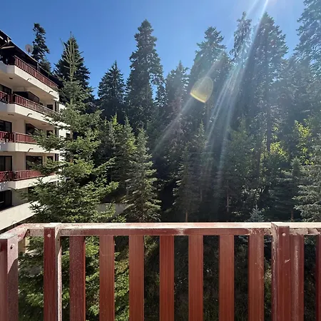 Appartement Private In Flora *