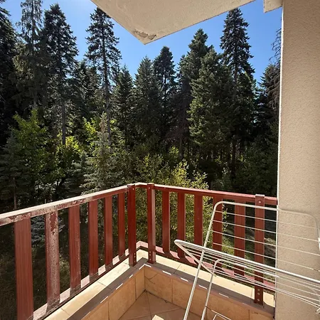 Private In Flora * Borovets