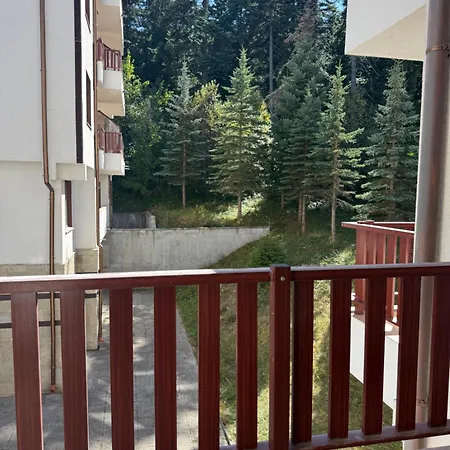 Private In Flora * Боровец