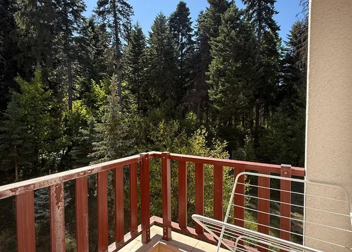 Private In Flora * Borovets